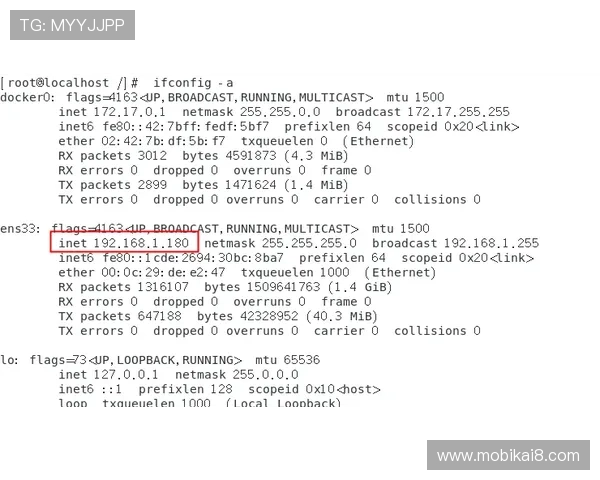 解密凯发直播客户端的优质服务与用户口碑