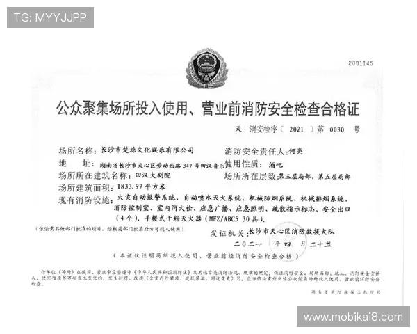 凯发网娱乐会员登录安全措施，保障用户账号信息安全的实用技巧与建议