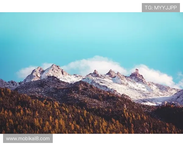 深入解析ks8凯发电游的安全保障措施，确保玩家资金与信息安全的全面保障方案