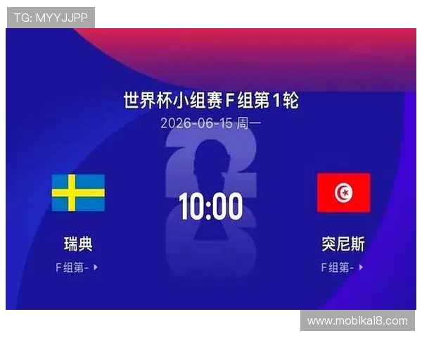 世界杯瑞典对突尼斯晋级规则全面解读：确保球队晋级的必备条件指南